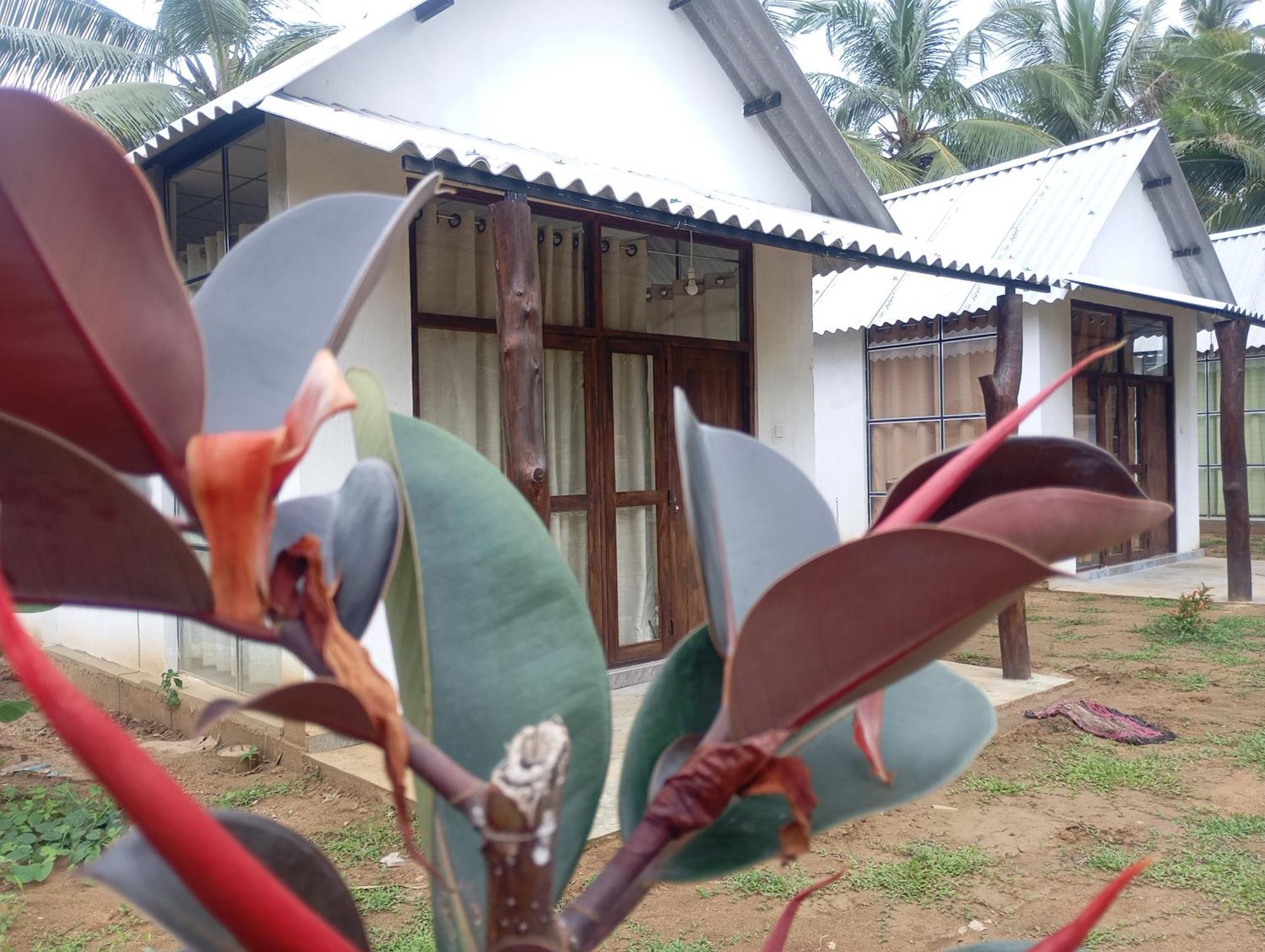Paramount Safari Cottage Udawalawe Exterior foto